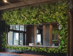 141 Zeleni zid dekoracija